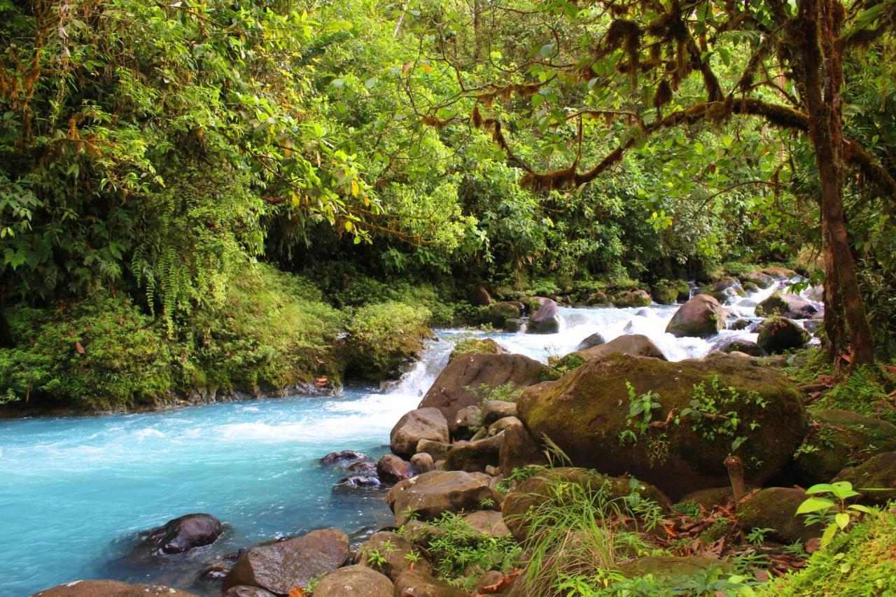 Río Celeste Nature View Upala Exterior foto